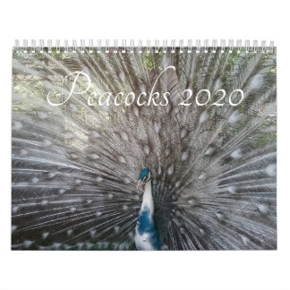 Pfau-Kalender Kalender