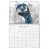 Pfau-Kalender Kalender (Feb 2027)