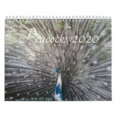 Pfau-Kalender Kalender (Titelbild)