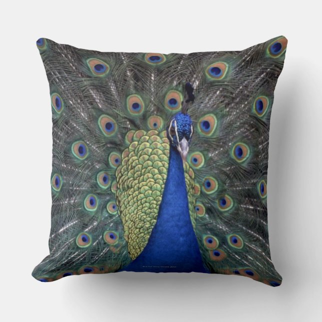 Pfau Kissen (Vorderseite)