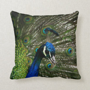 Pfau Kissen