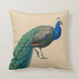 Pfau-Kissen bunt Kissen