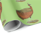 Pfau: Kongo Peahen Geschenkpapier (Rolleneckpunkt)