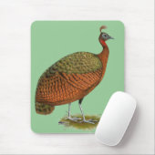 Pfau: Kongo Peahen Mousepad (Mit Mouse)