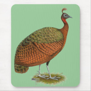 Pfau: Kongo Peahen Mousepad