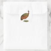 Pfau: Kongo Peahen Quadratischer Aufkleber (Tasche)