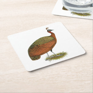 Pfau: Kongo Peahen Rechteckiger Pappuntersetzer