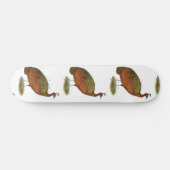 Pfau: Kongo Peahen Skateboard (Horizontal)