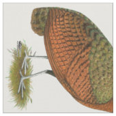Pfau: Kongo Peahen Stoff (Nahaufnahme)