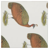 Pfau: Kongo Peahen Stoff (Muster)
