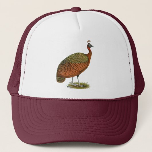 Pfau: Kongo Peahen Truckerkappe (Vorderseite)