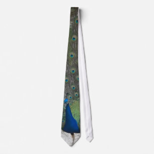 Pfau-Krawatte Krawatte