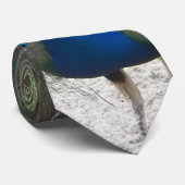 Pfau-Krawatte Krawatte (Gerollt)