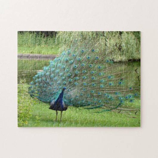 Pfau-Laubsäge Puzzle (Horizontal)