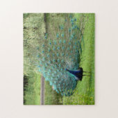 Pfau-Laubsäge Puzzle (Vertikal)