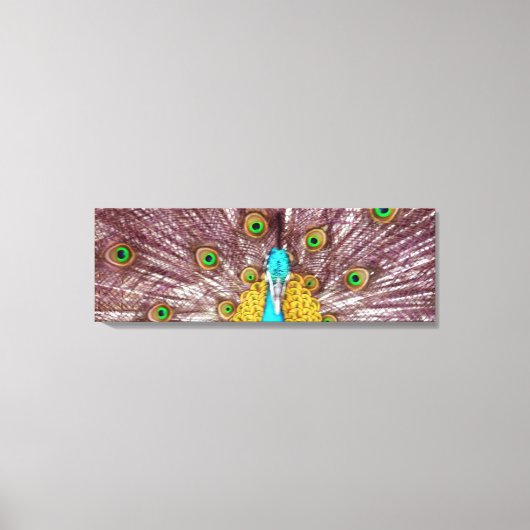 Pfau leuchtende Leinwand (Vorderseite)