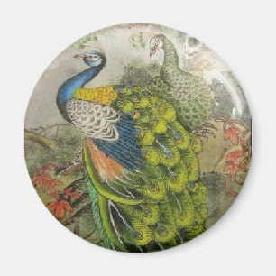Pfau Magnet