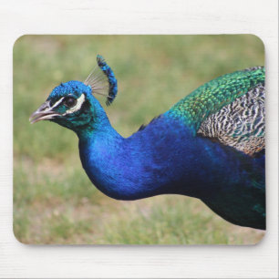 Pfau-Mausunterlage Mousepad