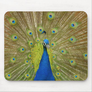 Pfau-Mausunterlage Mousepad