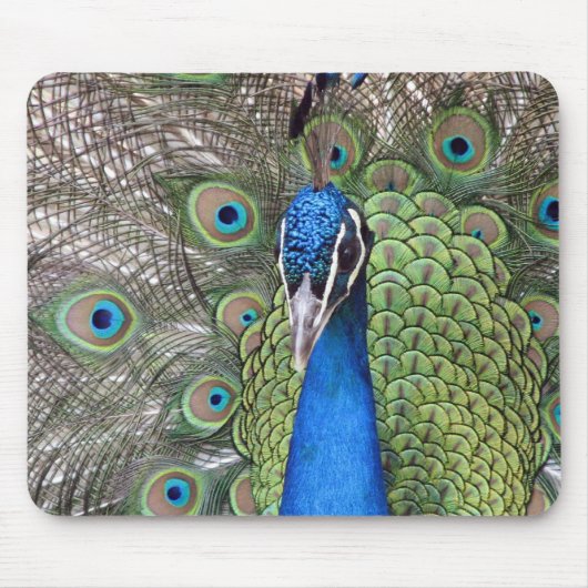 Pfau-Mausunterlage Mousepad (Vorne)