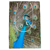 Pfau mit Feathers Fanned Out - Wildlife Foto Mittlere Geschenktüte (Vorderseite)