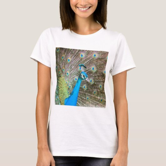 Pfau mit Feathers Out - Männlicher Vogel - Foto T-Shirt (Vorderseite)