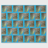 Pfau mit Federn Fanned - Wildlife Bird Foto Geschenkpapier (Flach)