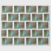 Pfau mit Federn Fanned - Wildlife Bird Foto Geschenkpapier (Flach)