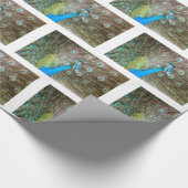 Pfau mit Federn Fanned - Wildlife Bird Foto Geschenkpapier (Ecke)