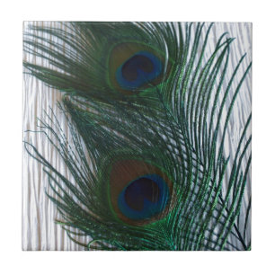 Pfau mit Weiß Fliese