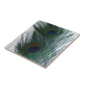 Pfau mit Weiß Fliese (Seite)