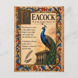 Pfau, mittelalterliche Bestiarien-Kunst Postkarte
