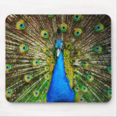 Pfau Mousepad (Vorne)