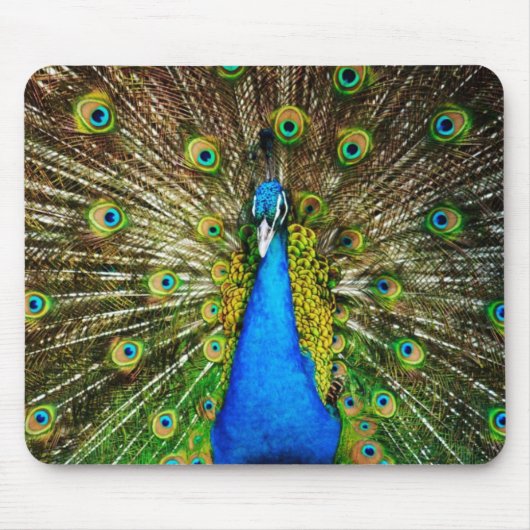 Pfau Mousepad (Vorne)