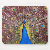 Pfau Mousepad (Vorne)