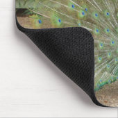 Pfau Mousepad (Ecke)