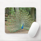 Pfau Mousepad (Mit Mouse)