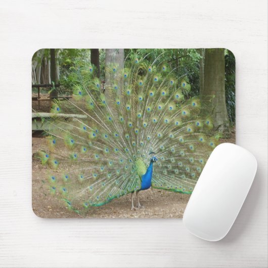 Pfau Mousepad (Mit Mouse)