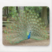Pfau Mousepad (Vorne)