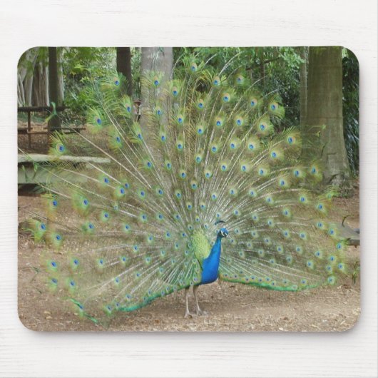 Pfau Mousepad (Vorne)
