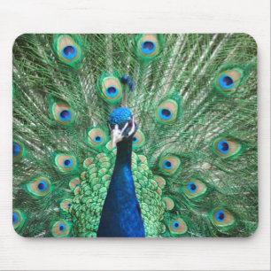 Pfau Mousepad