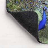 Pfau Mousepad (Ecke)