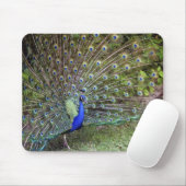 Pfau Mousepad (Mit Mouse)