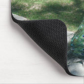 Pfau Mousepad (Ecke)