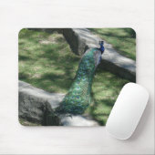 Pfau Mousepad (Mit Mouse)