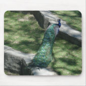 Pfau Mousepad (Vorne)