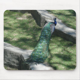 Pfau Mousepad