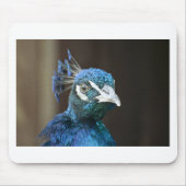 Pfau Mousepad (Vorne)