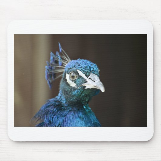 Pfau Mousepad (Vorne)