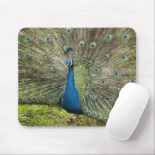 Pfau Mousepad (Mit Mouse)